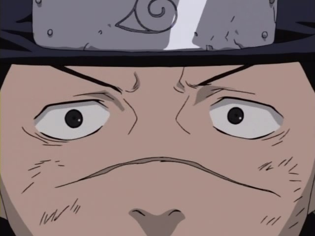 img/5/2/3/6/523608374031DE001E