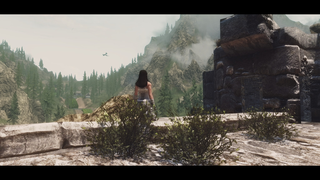 Seasons of Skyrim 여름버전 테스트샷 (스압주의)_12.jpg