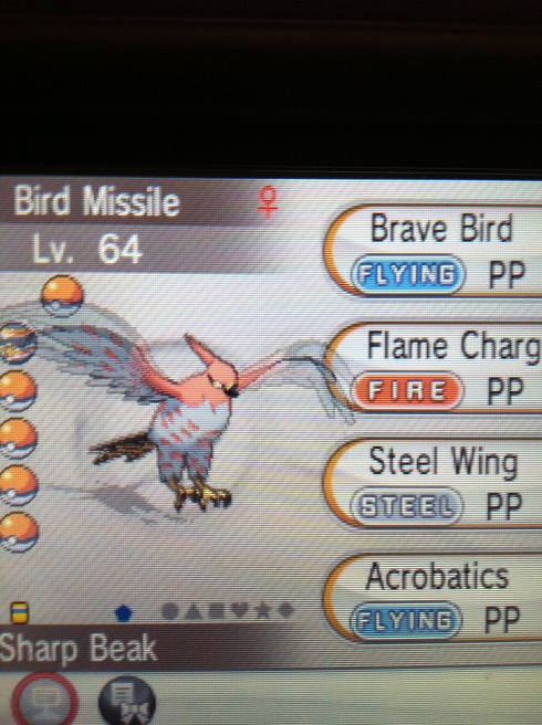 [포켓몬] 버드 미사일_4.jpg