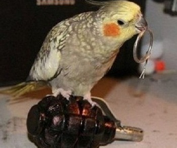 img/5/2/C/3/52C3966B50274D001C