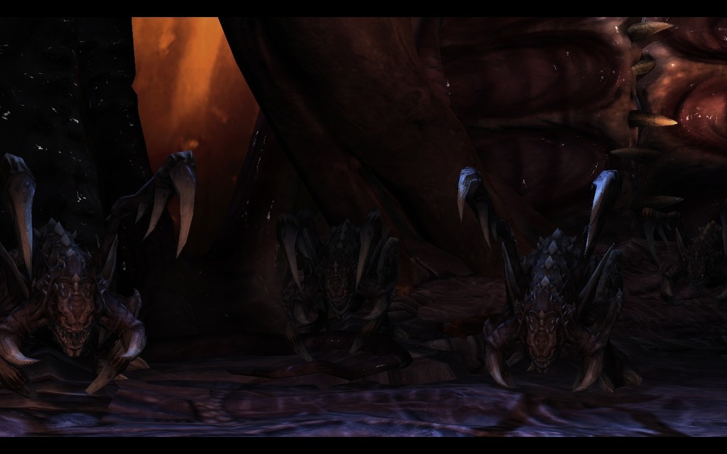 img/5/2/F/C/52FC60A63A7F35001B