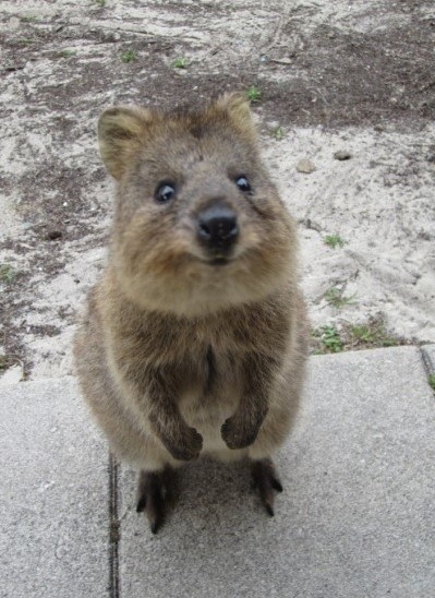 이 게시판은 죽었는가_1.jpg