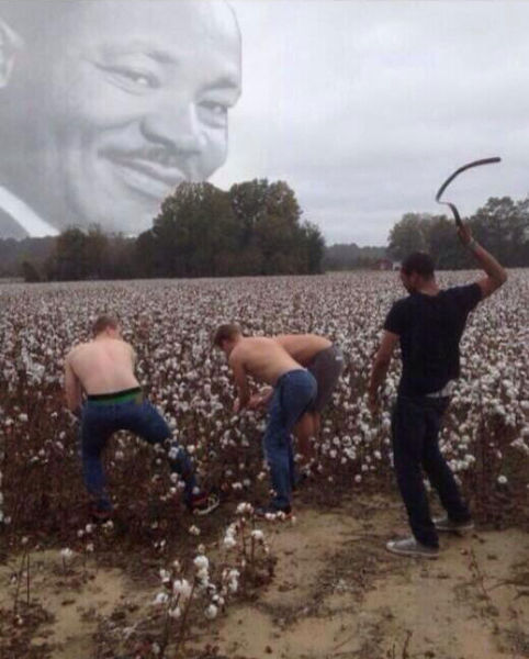 목화솜을 따는 흑인 노예들.jpg_1.jpg