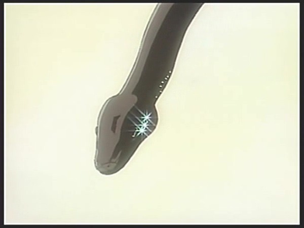 img/5/3/6/B/536B3050411F1B001A