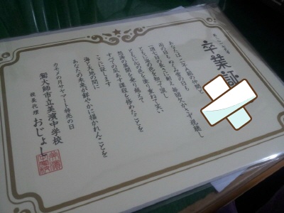 img/5/3/8/7/538728A3442BA4000D