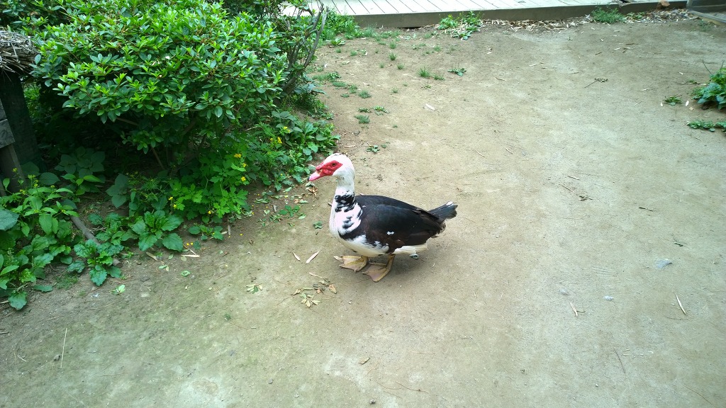 해질녘 1020 사진 몇장_11.jpg