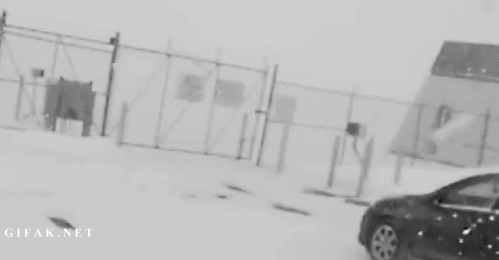 두 얼간이_1.jpg