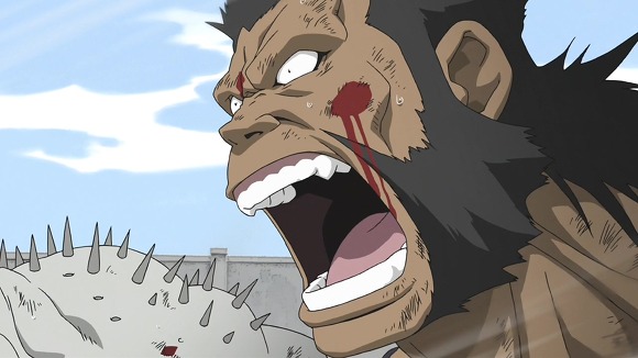 img/5/3/A/C/53ACC4054215D1000B