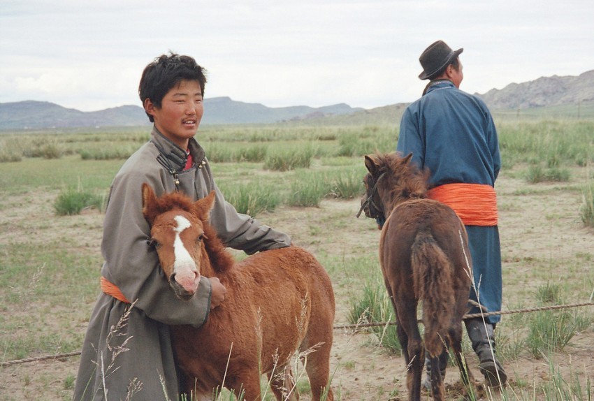 img/5/3/B/2/53B26D8347111E001F