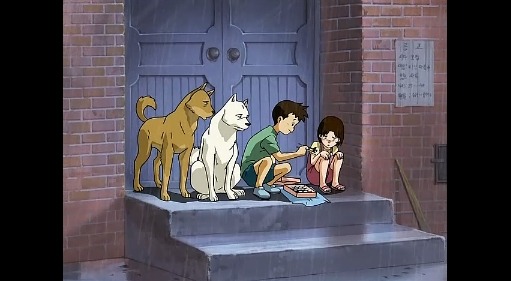 [하얀마음 백구] 국내 최초 인면견!_1.jpg