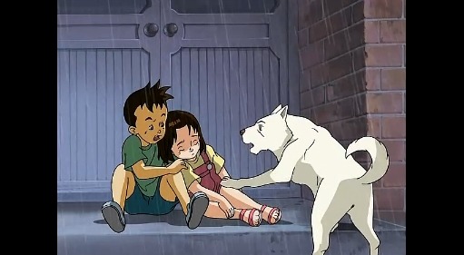 [하얀마음 백구] 국내 최초 인면견!_6.jpg