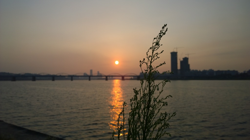 해질녘 1020 사진 몇장_8.jpg