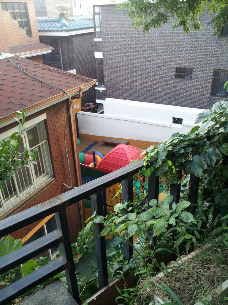 보광동 폐가 있던 곳에 사진을 찍고 왔습니다._1.jpg