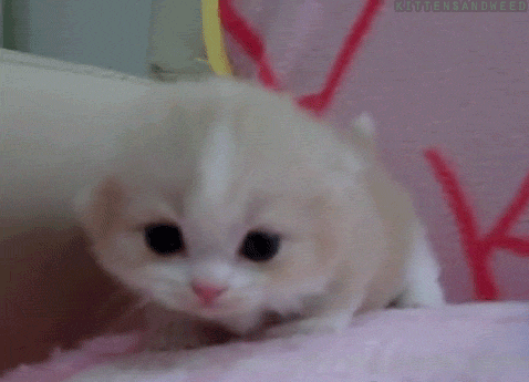 유게의 암살자_9.jpg