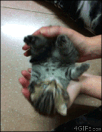 유게의 암살자_27.jpg