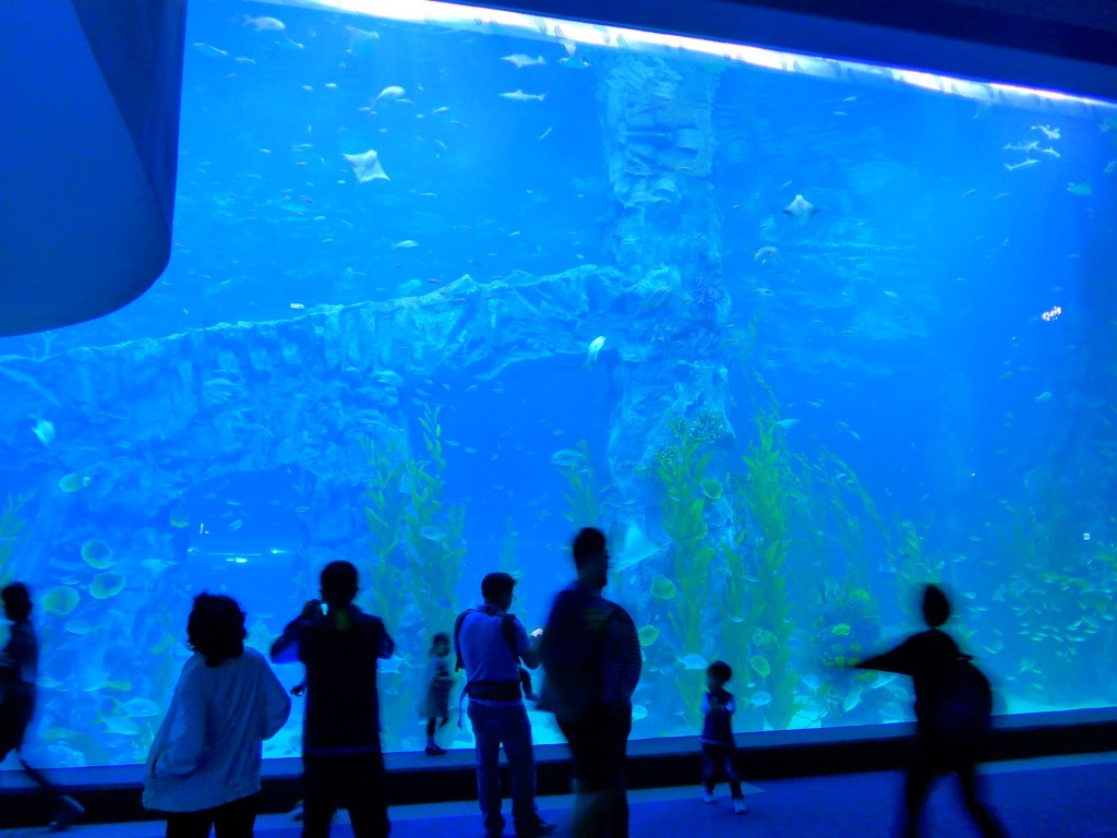 img/5/4/4/3/54437C454E21FE000D