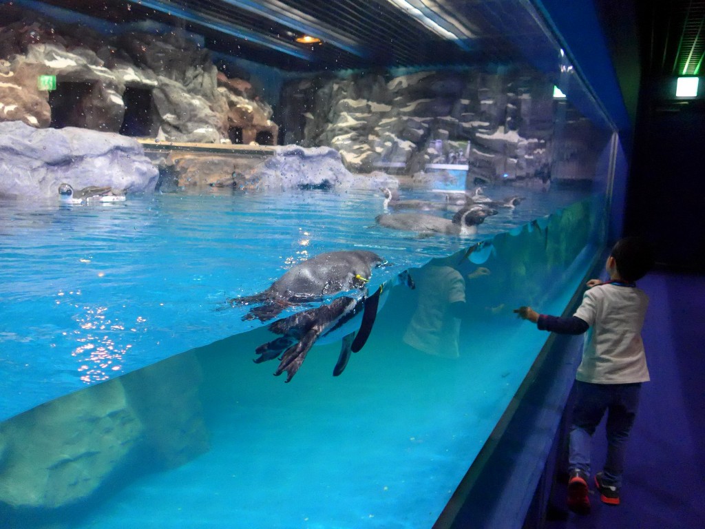 img/5/4/4/3/54437F2D4D16C4000A