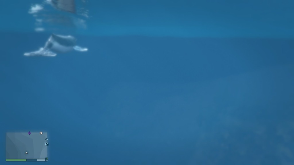 GTA5 고래를 보았다 ㄷㄷㄷㄷㄷㄷㄷ_3.jpg