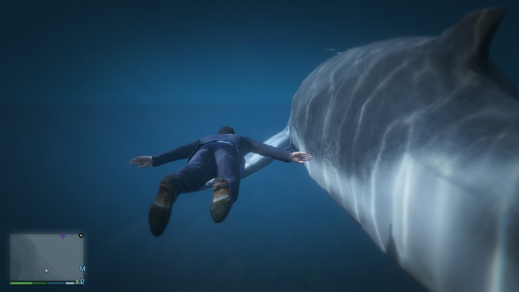 GTA5 고래를 보았다 ㄷㄷㄷㄷㄷㄷㄷ_8.jpg