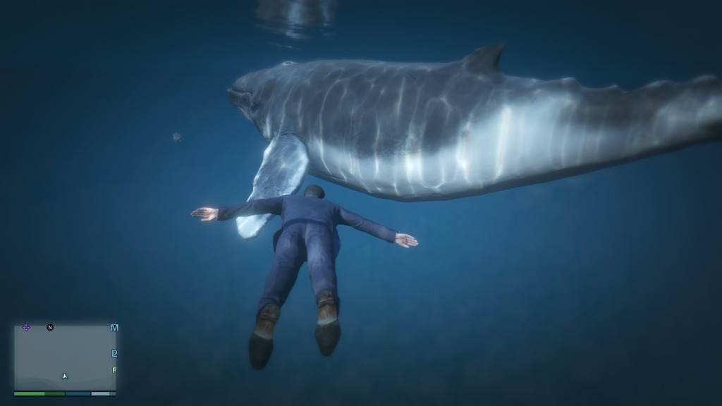 GTA5 고래를 보았다 ㄷㄷㄷㄷㄷㄷㄷ_9.jpg