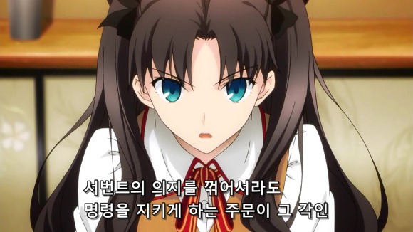 [Fate] 아아..성배전쟁에 바보가 가득해....(BGM.왜곡.추가)_24.jpg