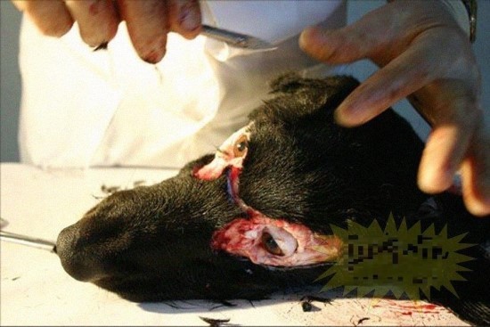 img/5/4/8/C/548C324250120F001C