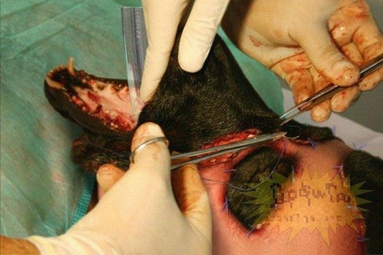 img/5/4/8/C/548C32714D083E000C