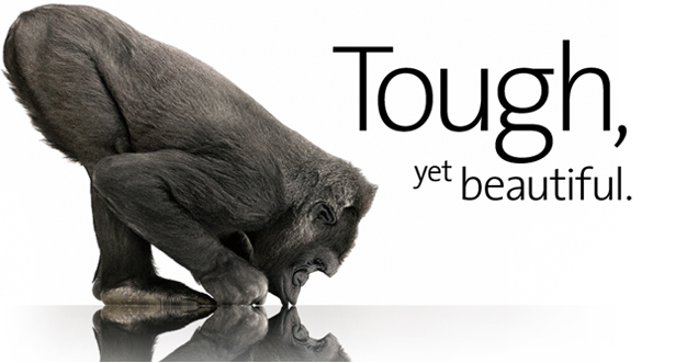 치토게 광고모델도 하네ㅋㅋ_1.jpg