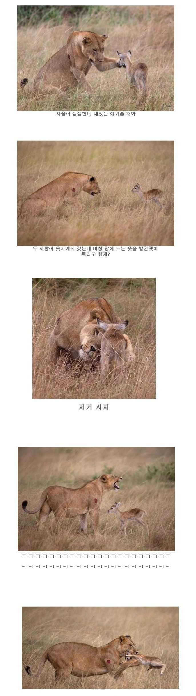 글유머의 최후.jpg_3.jpg