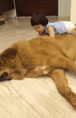 죄없는 짐승을 이유없이 괴롭히는 인간.gif_3.jpg
