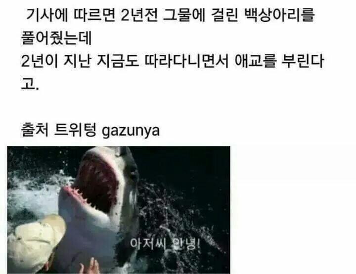 은혜를 원수로 갚는 동물_1.jpg