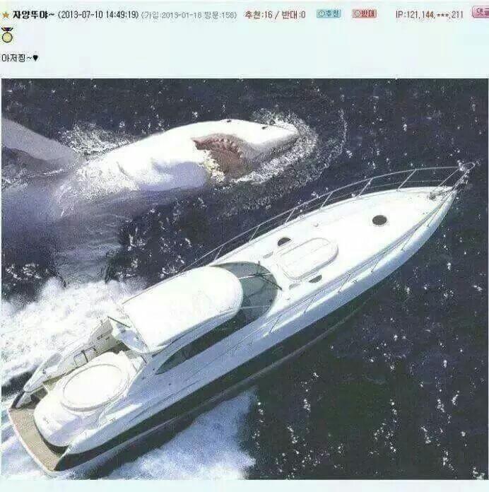 은혜를 원수로 갚는 동물_3.jpg
