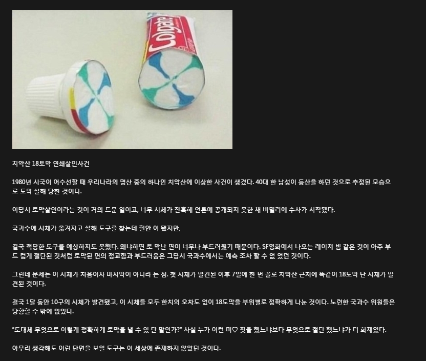 ì¹˜ì•…ì‚° 18í† ë§‰ ì‚´ì¸ì‚¬ê±´ ê´´ë‹´