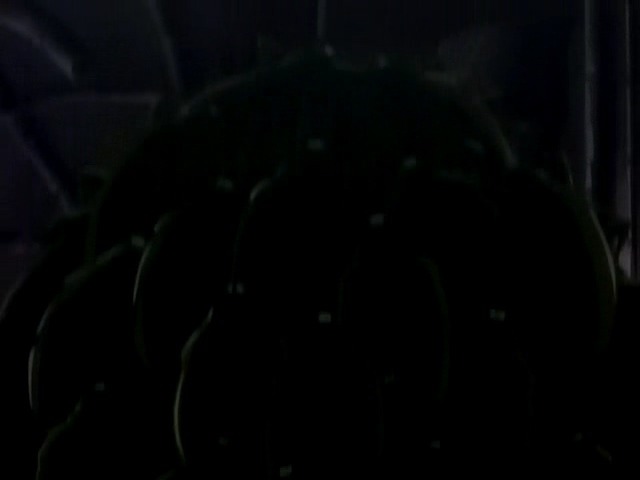 [마법신화 라그나로크] 라그 리뷰 2화(스압)_136.jpg