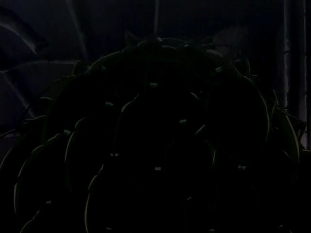 [마법신화 라그나로크] 라그 리뷰 2화(스압)_137.jpg