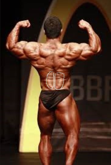 img/5/4/C/8/54C8CCA5465F59003A