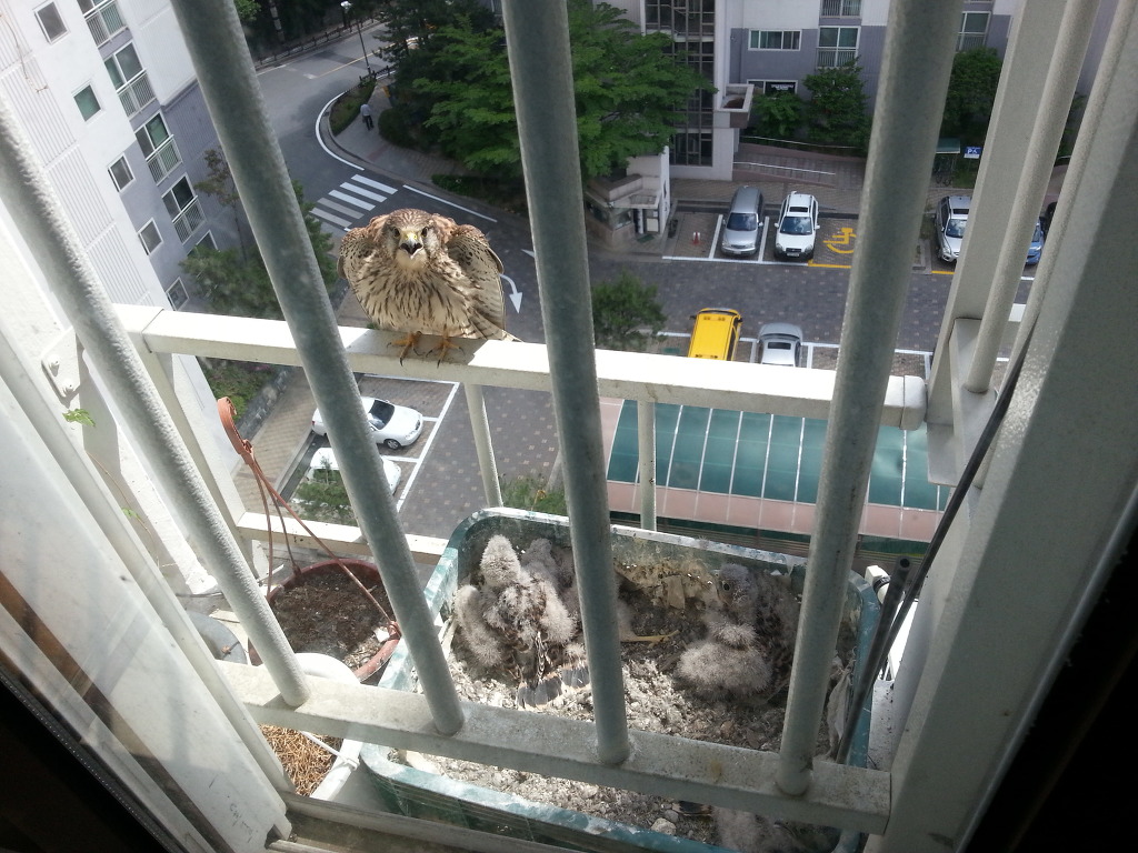 img/5/5/7/E/557E36C1382FB5000E