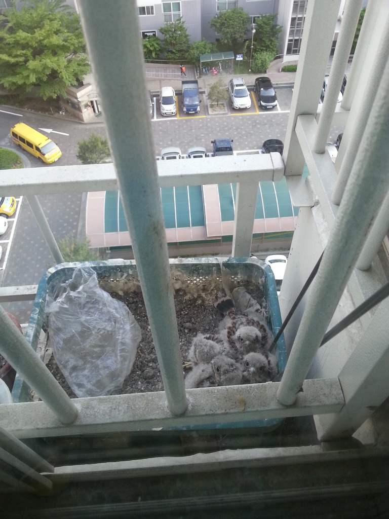 img/5/5/7/E/557E370033465B000C