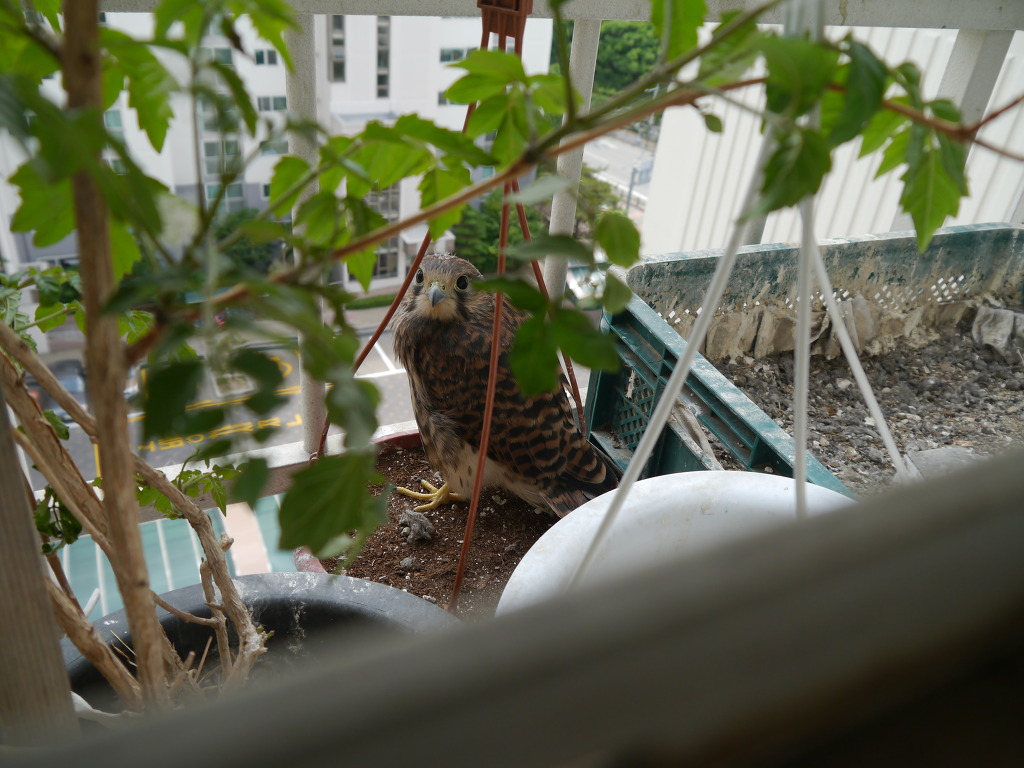 img/5/5/7/E/557E3EE14368C4000A