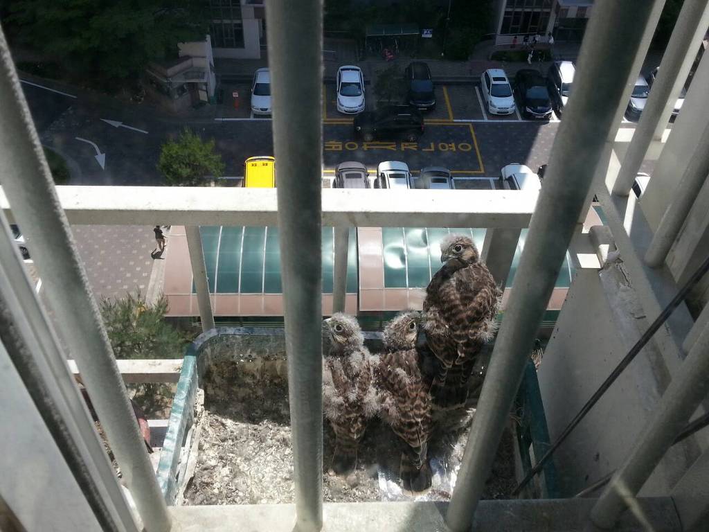 img/5/5/7/E/557E3FB2451EB3002C