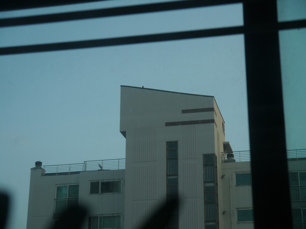 img/5/5/7/E/557E43953A7239000F