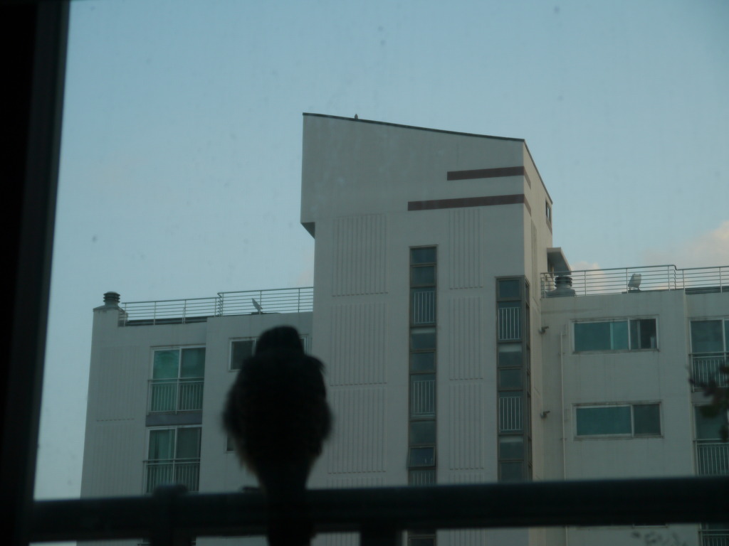 img/5/5/7/E/557E44033C2688000F