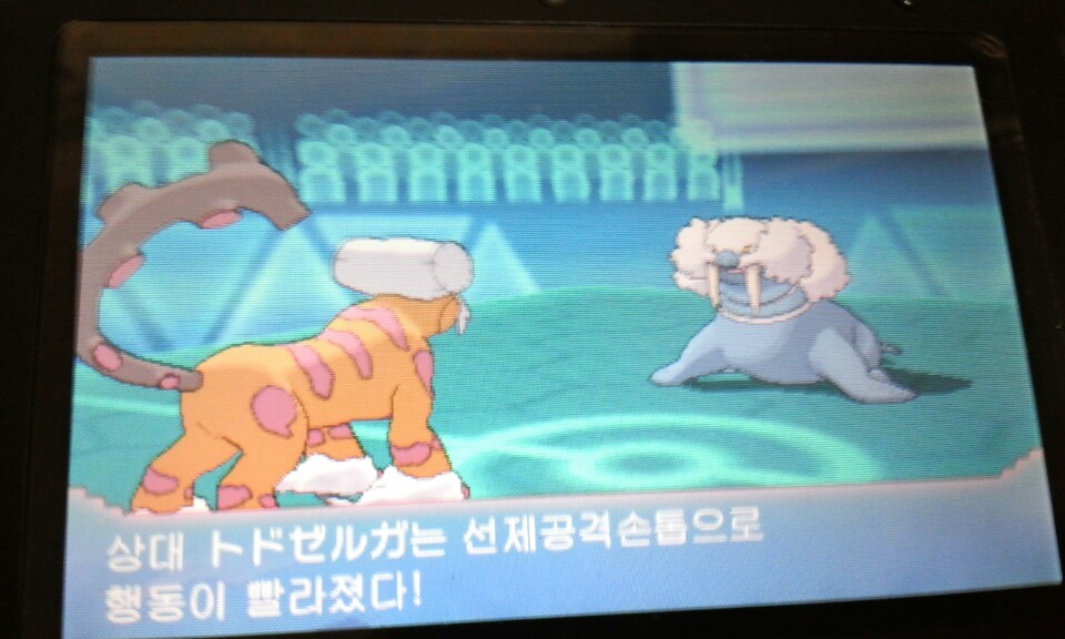 씨카이저 특성이 노가드였나요?_4.jpg