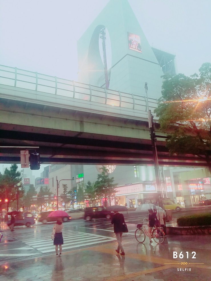 img/5/5/B/2/55B251394A43D6002C