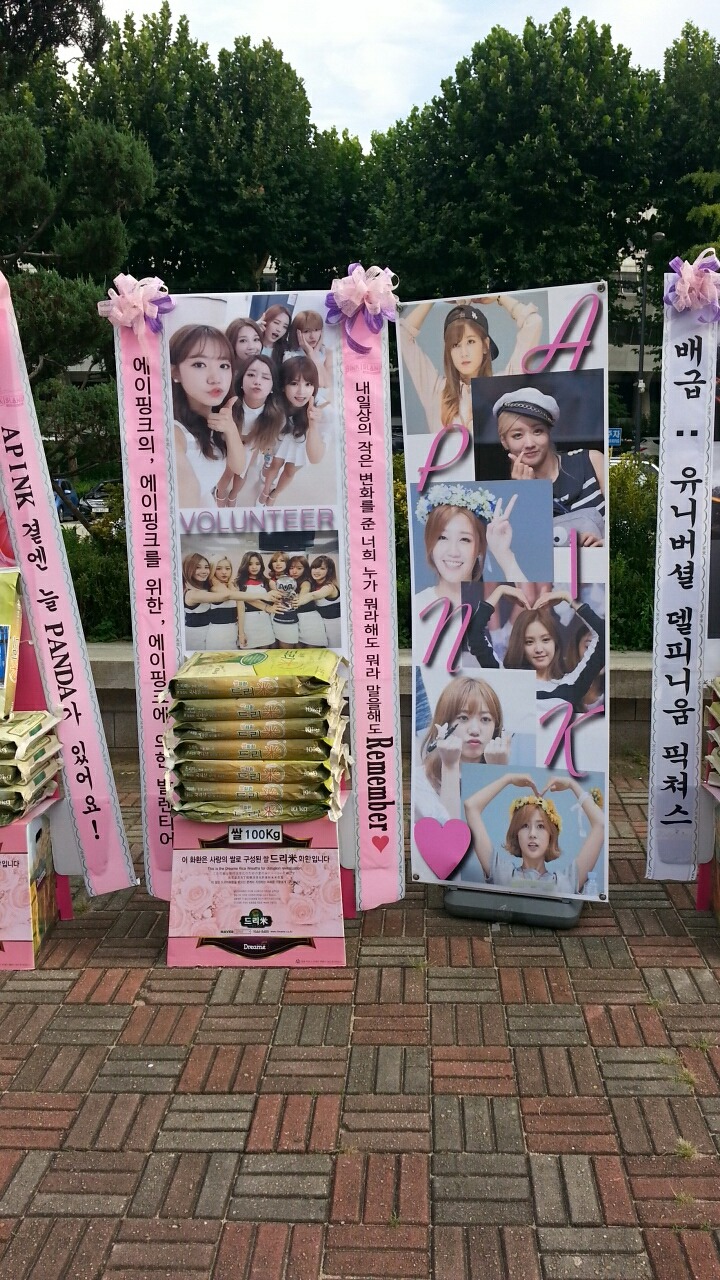 핑크 아일랜드 다녀왔습니다._6.jpg
