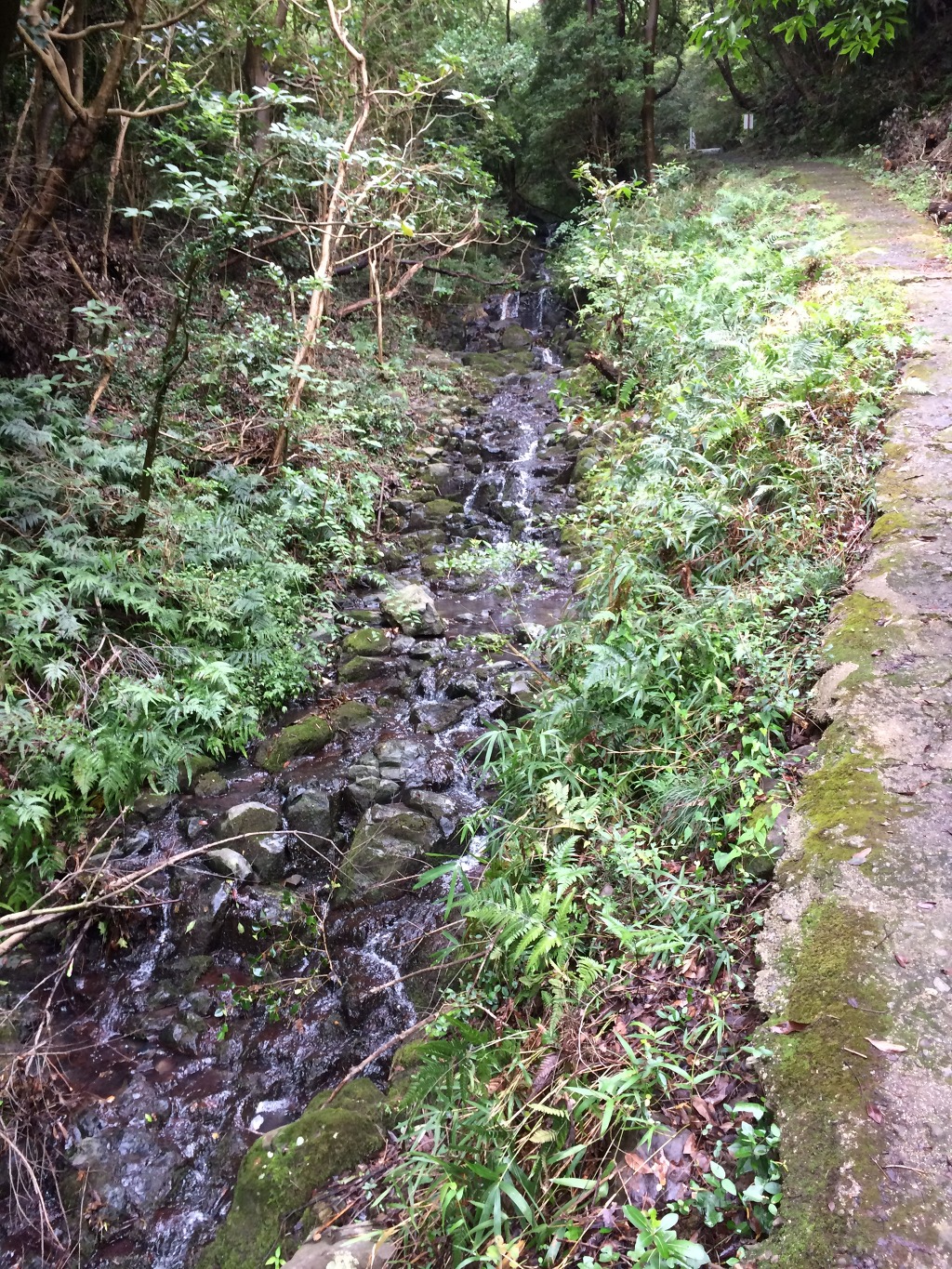  [스압] 유우키 유우나는 용사다 성지순례 겸 일본여행 #2_17.jpg