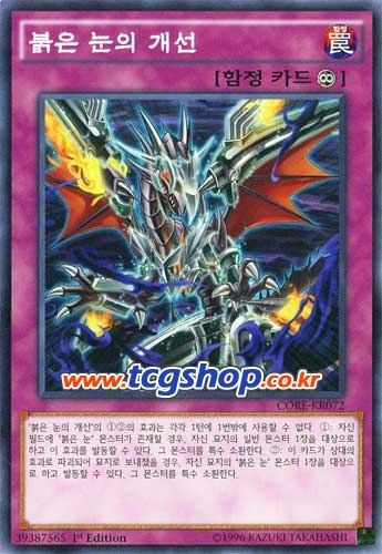 [모르면 손해보는 룰공부] 유령토끼는 어떻게 써야하는가_5.jpg