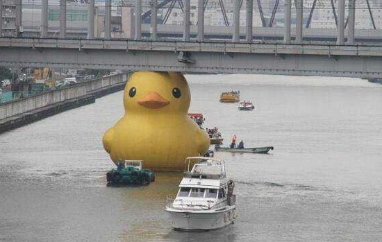 img/5/6/4/E/564EEC17331464001B