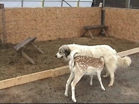 유두노출 모음_3.jpg