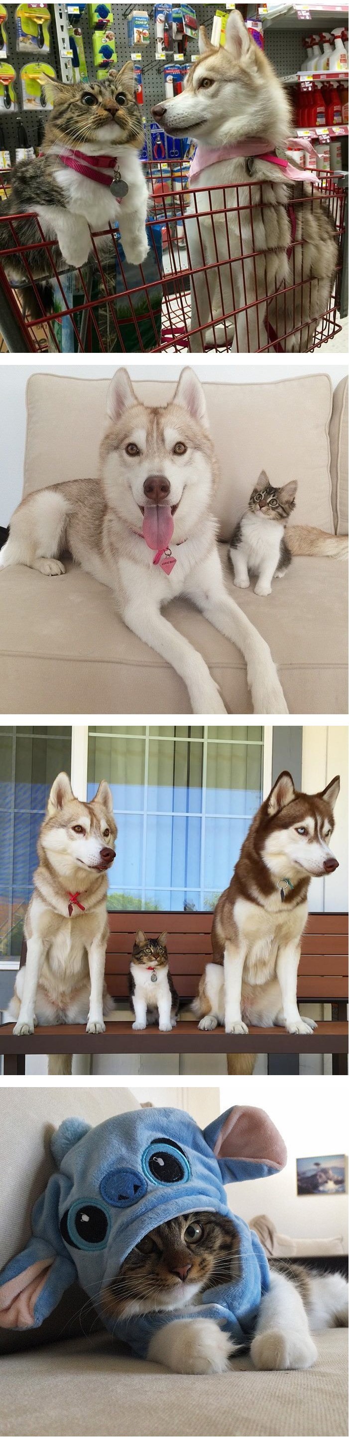 img/5/6/A/C/56ACD9784E41EB001E